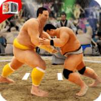 Sumo Wrestling WWE