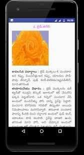 Telugu Vantalu स्क्रीनशॉट 1