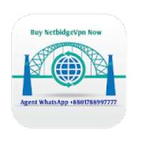 Net bridge vpn