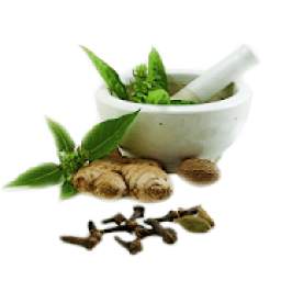 Natural Ayurvedic Remedies for Health