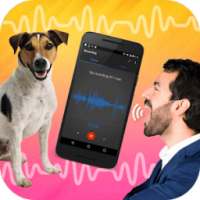 Dog Translator Simulator