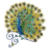 Peacock Color by Number Pixel Art Sandbox Pages on 9Apps