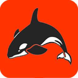 ORCA 1.0