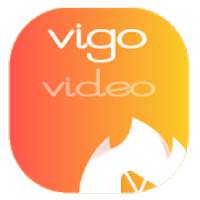 Tips vigo Mate Guide Pro