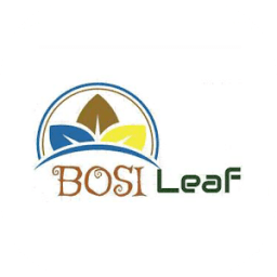 ikon Bosi Leaf