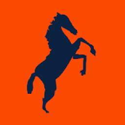 Predominantly Orange: Broncos