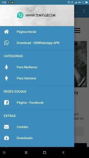 TEMAS GB screenshot 2