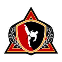 Haynes Martial Arts Academy on 9Apps