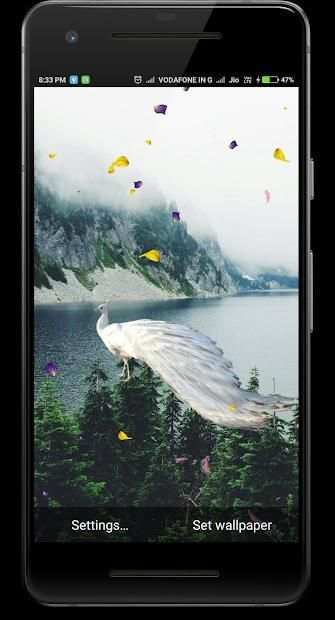 Peacock Live Wallpaper screenshot 3