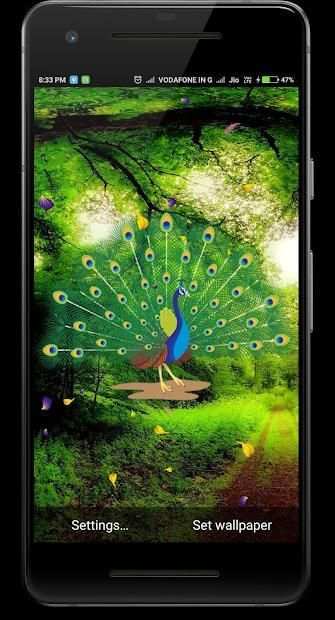 Peacock Live Wallpaper screenshot 2