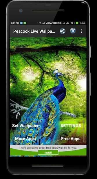 Peacock Live Wallpaper screenshot 7