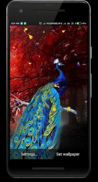 Peacock Live Wallpaper screenshot 6
