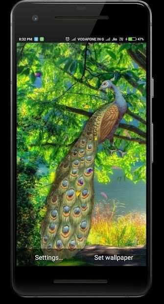 Peacock Live Wallpaper screenshot 4