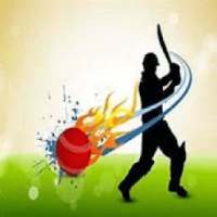 Live Cricket Score ! IPL Live Cricket Score