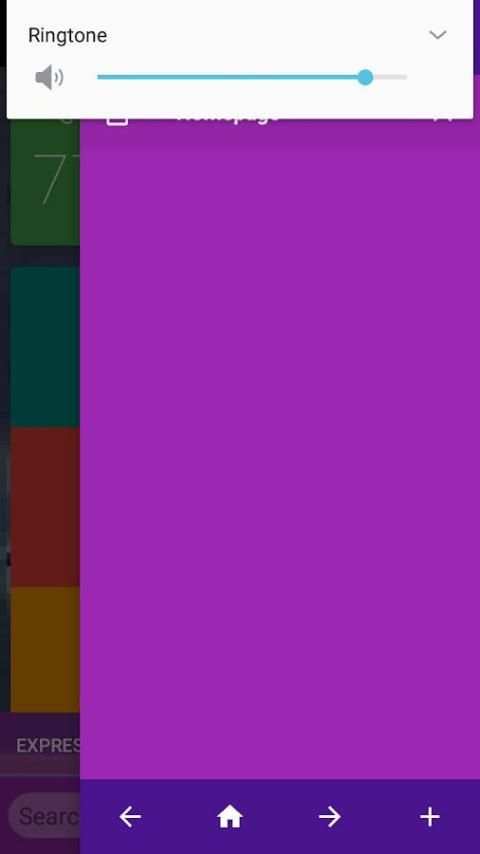 RS Browser screenshot 2