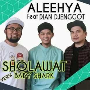 Sholawat Aleehya Versi Despacito screenshot 2