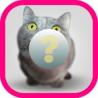 Guess-the-Animal Quiz Game FREE