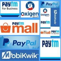 Paytm,Paypal,Paytm mall,Mobikwik,Oxigen,Paytm Bs. icon