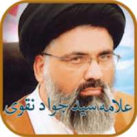 Allama Syed Jawad Naqvi Audio & Videos Lectures