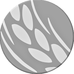 The Message Swahili Website icon