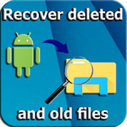Recover Deleted Files : internal storage /sd carte आइकन
