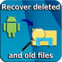 Recover Deleted Files : internal storage /sd carte