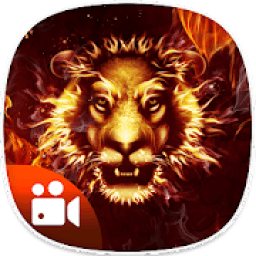 Live Fire Video Photo Background Editor आइकन