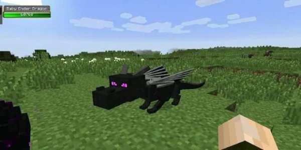 Dragon Mounts Mod for MCPE screenshot 3