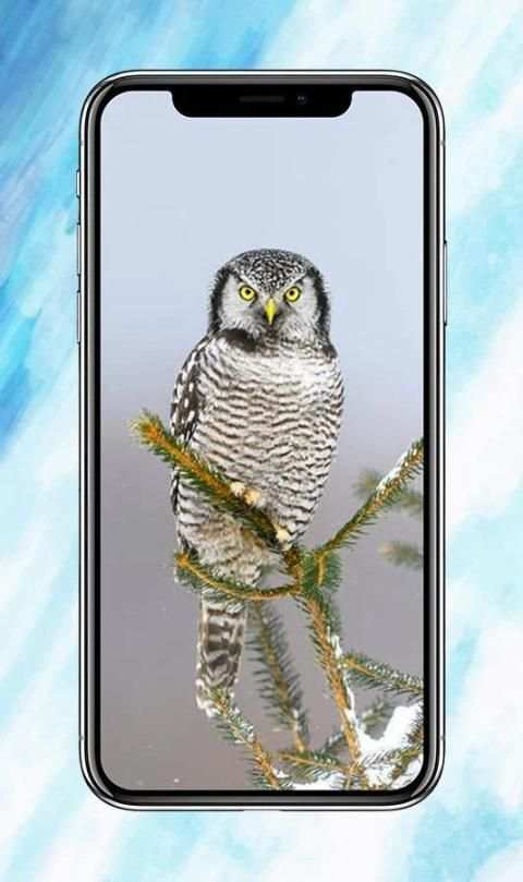 All Birds Wallpapers स्क्रीनशॉट 4