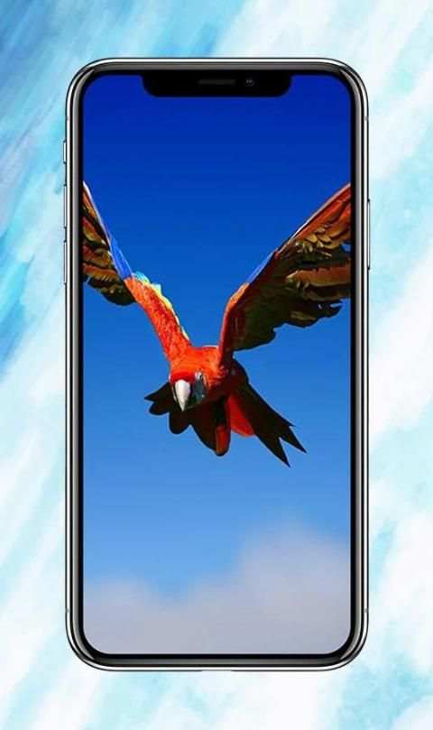 All Birds Wallpapers स्क्रीनशॉट 1
