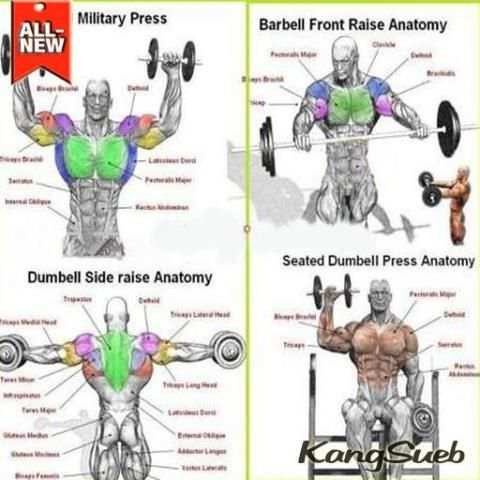 Best Gym Workout Tutorials स्क्रीनशॉट 4
