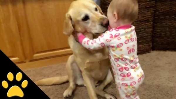 Funny Videos Entertainment - vidéo drôle 2018 screenshot 3