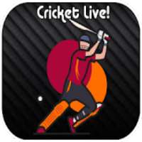 Cricket Update