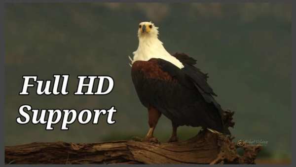 AC3 videoplayer for android screenshot 7