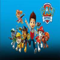 Paw Patrol Video Collection