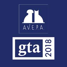 AVEPA-GTA18 1.0.5