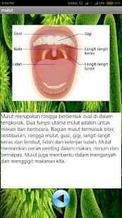 Biologi Pencernaan Manusia скриншот 5