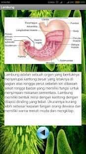 Biologi Pencernaan Manusia скриншот 4