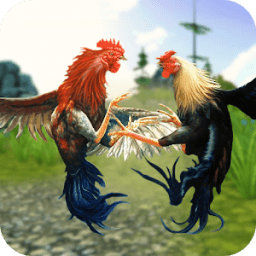 ikon Rooster Wild Fighting : Farm Battle Run