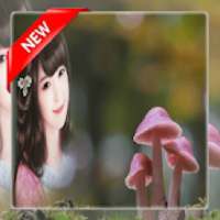 Mushroom photo frame on 9Apps