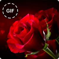 صور ورود متحركة GIF on 9Apps