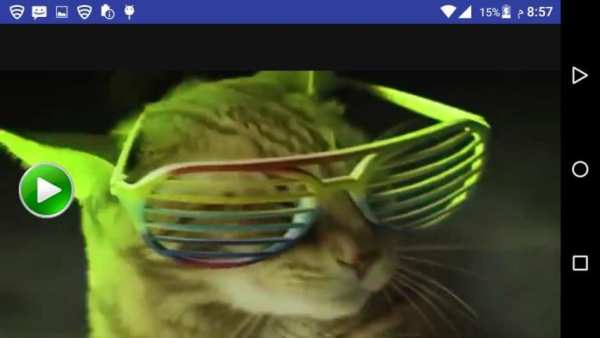 اغنية ورقصة القطط 2019 بدون انترنت
‎ screenshot 1
