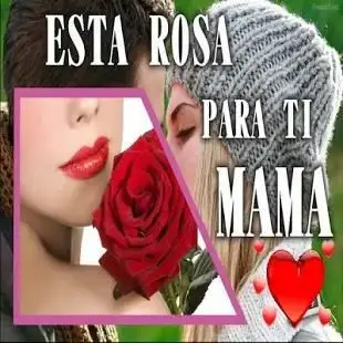 Rosas eternas con cinta satinada 2023  Detalles eternos para dia de las  madres 2023 ❤️ 