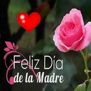 Rosas eternas con cinta satinada 2023  Detalles eternos para dia de las  madres 2023 ❤️ 