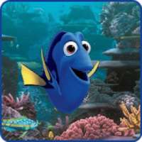 Dory Wallpapers