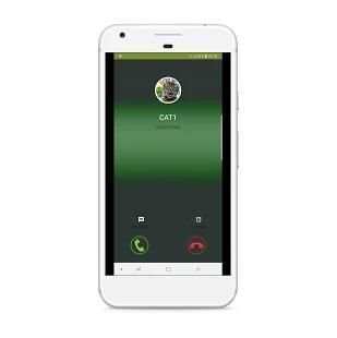 Fake Call: Cat Caller ID screenshot 6