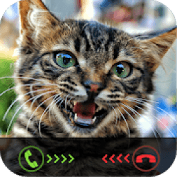 ikon Fake Call: Cat Caller ID