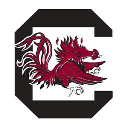 South Carolina Gamecocks