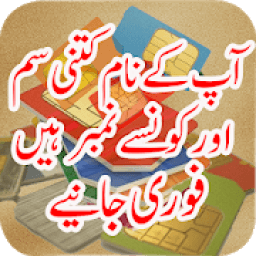 ikon Sim Information System By CNIC Number