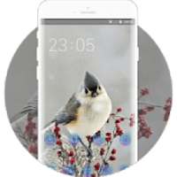 Snow beautiful bird theme